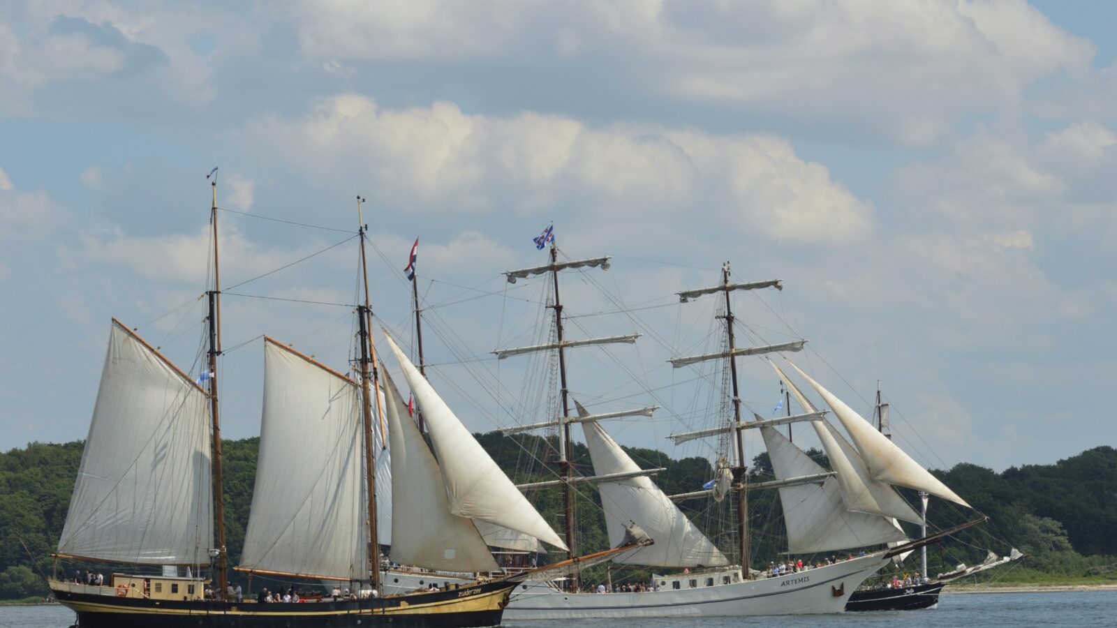 Rum Regatta 2026: Historic Sailing Ships Race the Firth